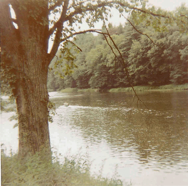 allegheny river at emlenton