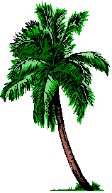 datepalm