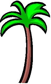 palmtree